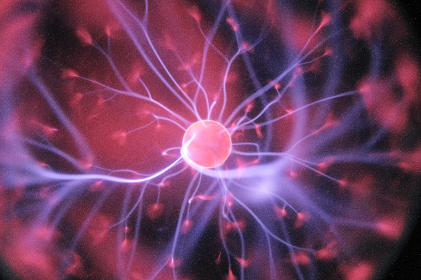 The Role of Big Data in Brain Research